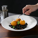 Elegant Minimalist Modern Plate for Fine Dining