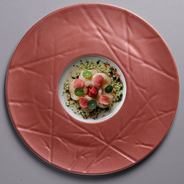 Ceramic Plate For Dinner Pasta Steak