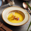 Earth Tone Ceramic Glazed Soup Pasta Plate