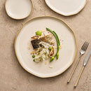 Ivory Ceramic Plate with Reactive Beige Rim