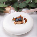 Minimalist White Matte Ceramic Serving Dish