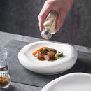 White Asymmetric Ceramic Plate, for Appetizers and Main Courses
