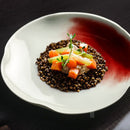 Ice Cracking Glaze Ceramics White and Red Plates