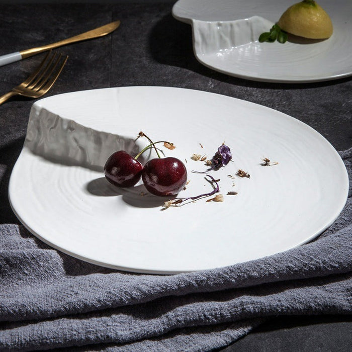 Ceramic plates for restaurants outlet