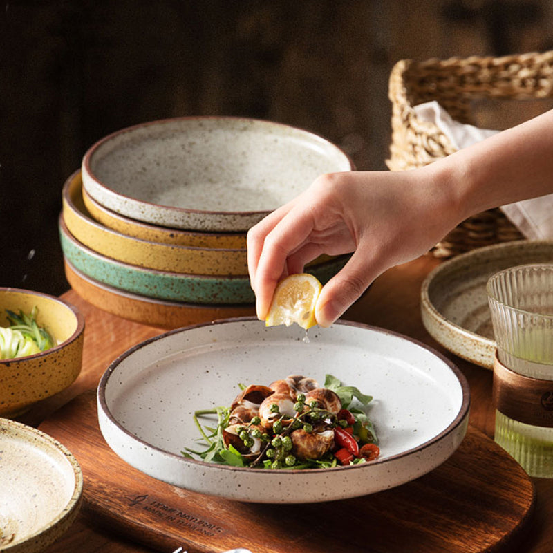 Retro Shallow Ceramic Plate for Dessert Salad and Soup